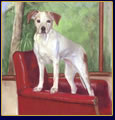 Pastel Portraits of Dogs: "The Best Seat"